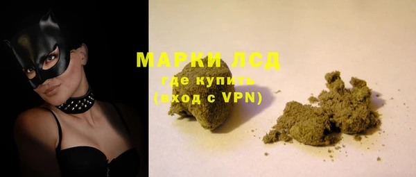 прущие грибы Аркадак