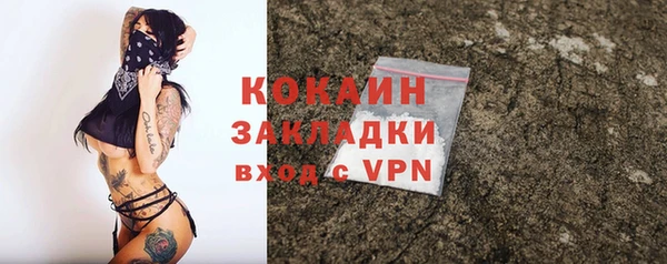 тгк Арсеньев