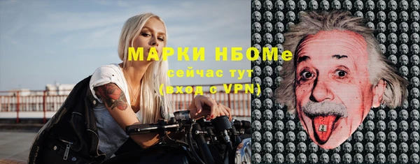 прущие грибы Аркадак