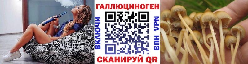 Галлюциногенные грибы Magic Shrooms  мега сайт  Лукоянов 
